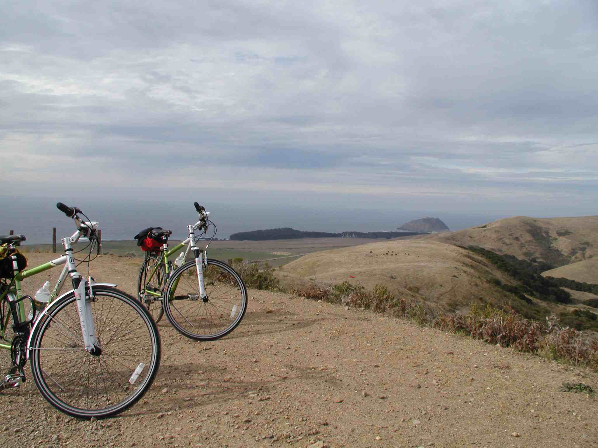 bikes portrait.jpg